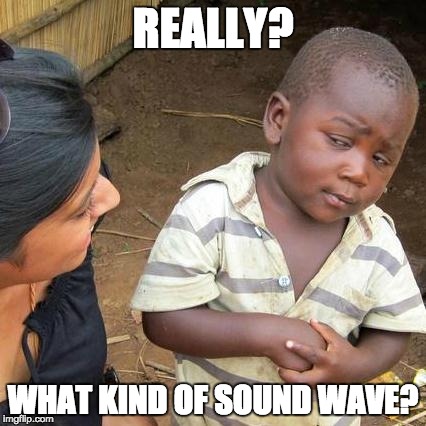 Third World Skeptical Kid Meme | REALLY? WHAT KIND OF SOUND WAVE? | image tagged in memes,third world skeptical kid | made w/ Imgflip meme maker