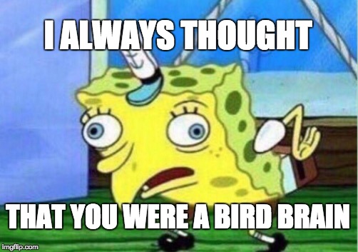Mocking Spongebob | I ALWAYS THOUGHT; THAT YOU WERE A BIRD BRAIN | image tagged in memes,mocking spongebob | made w/ Imgflip meme maker