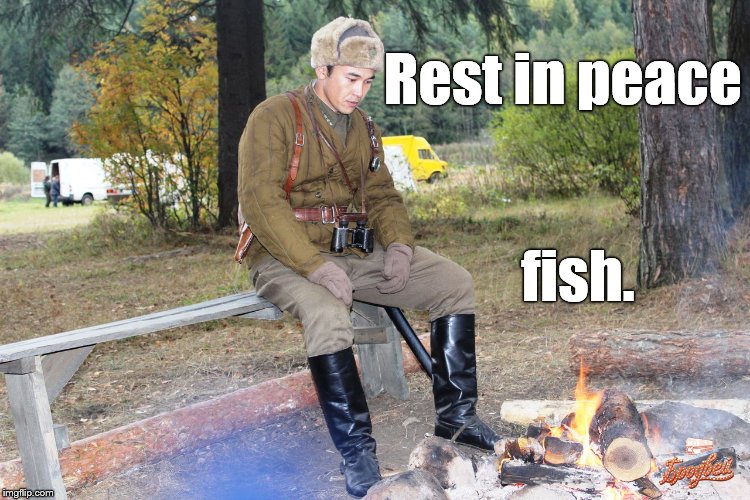 Corporal Chen Chang | Rest in peace fish. | image tagged in corporal chen chang | made w/ Imgflip meme maker