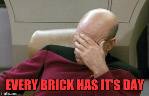 Captain Picard Facepalm Meme | EVERY BRICK HAS IT'S DAY | image tagged in memes,captain picard facepalm | made w/ Imgflip meme maker