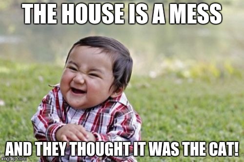 Evil Toddler | THE HOUSE IS A MESS; AND THEY THOUGHT IT WAS THE CAT! | image tagged in memes,evil toddler | made w/ Imgflip meme maker