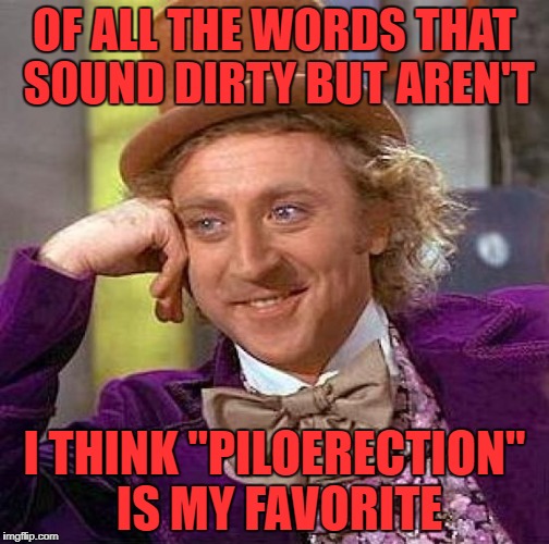 Made you look it up | OF ALL THE WORDS THAT SOUND DIRTY BUT AREN'T; I THINK "PILOERECTION" IS MY FAVORITE | image tagged in memes,creepy condescending wonka | made w/ Imgflip meme maker