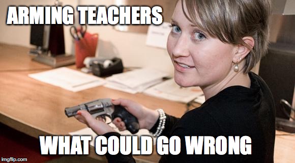 Hmm... What Could Go... | ARMING TEACHERS; WHAT COULD GO WRONG | image tagged in arming teachers,teachers,guns,2nd amendment,gun control,mass shootings | made w/ Imgflip meme maker