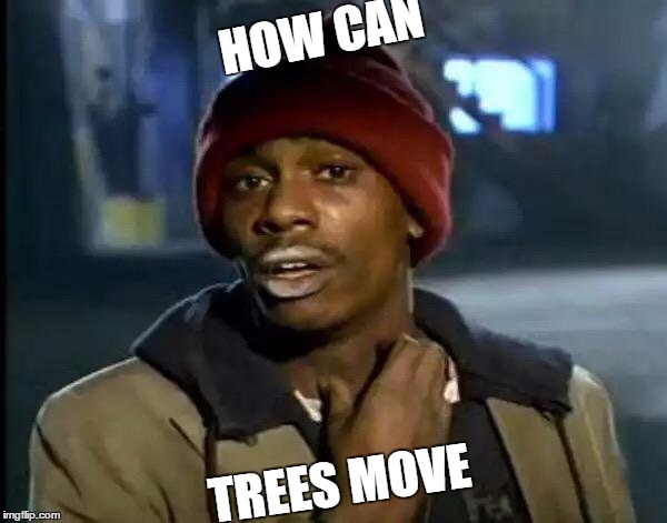 Y'all Got Any More Of That | HOW CAN; TREES MOVE | image tagged in memes,y'all got any more of that | made w/ Imgflip meme maker