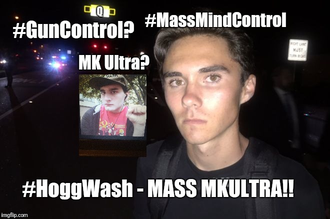 #MassMindControl; Q; #GunControl? MK Ultra? #HoggWash - MASS MKULTRA!! | made w/ Imgflip meme maker