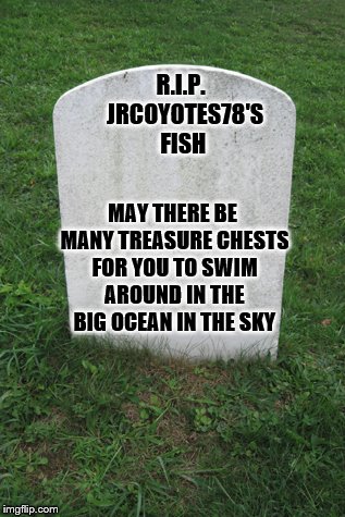 R.I.P.  JRCOYOTES78'S FISH MAY THERE BE MANY TREASURE CHESTS FOR YOU TO SWIM AROUND IN THE BIG OCEAN IN THE SKY | made w/ Imgflip meme maker