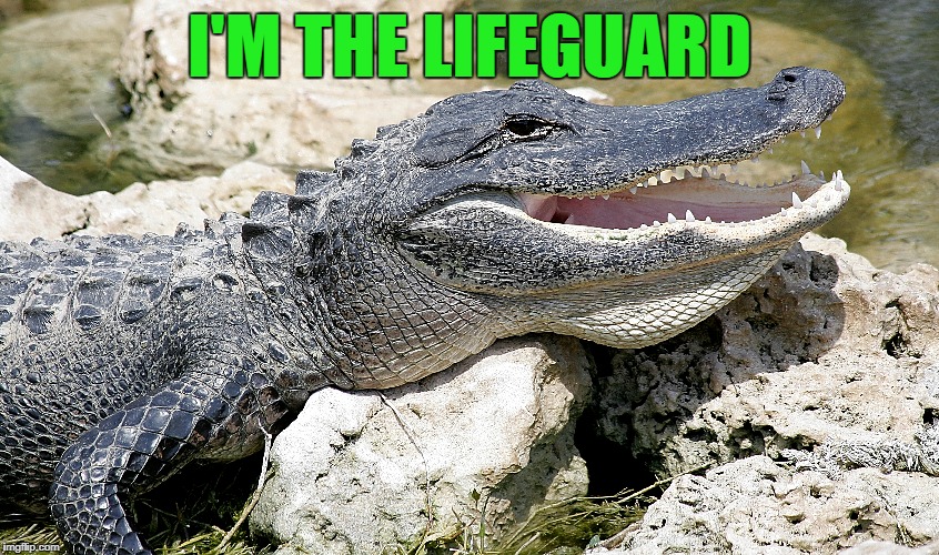 I'M THE LIFEGUARD | made w/ Imgflip meme maker