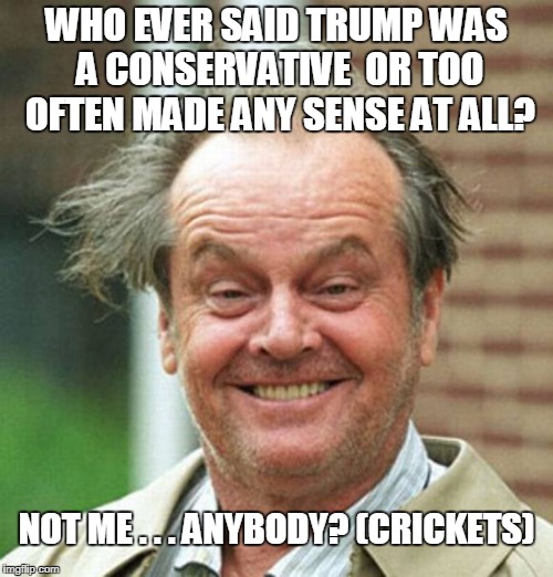 Trump no conservative | WHO EVER SAID TRUMP WAS A CONSERVATIVE  OR TOO OFTEN MADE ANY SENSE AT ALL? NOT ME . . . ANYBODY? (CRICKETS) | image tagged in jack nicholson | made w/ Imgflip meme maker