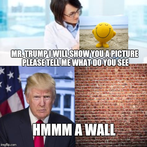 Someone needs psychiatrist | MR. TRUMP I WILL SHOW YOU A PICTURE PLEASE TELL ME WHAT DO YOU SEE; HMMM A WALL | image tagged in psychiatrist,crazy,dementia,donald trump,trump wall,mental illness | made w/ Imgflip meme maker