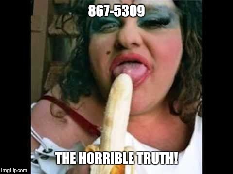Ugly Girl | 867-5309; THE HORRIBLE TRUTH! | image tagged in ugly girl | made w/ Imgflip meme maker
