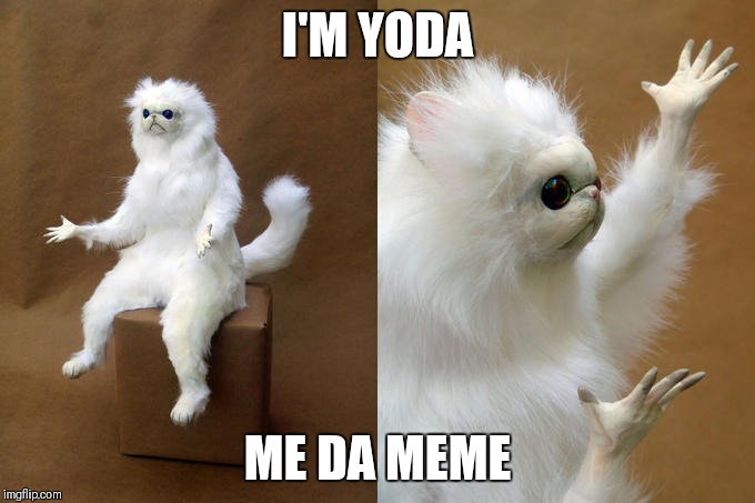 Persian Cat Room Guardian | I'M YODA; ME DA MEME | image tagged in memes,persian cat room guardian | made w/ Imgflip meme maker