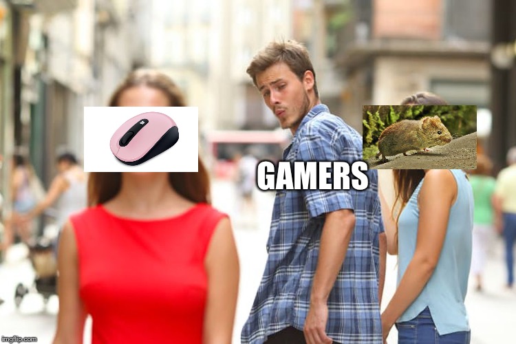 Googled a mouse for the other one |  GAMERS | image tagged in memes,distracted boyfriend,mouse,gamers | made w/ Imgflip meme maker