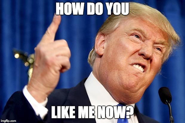 Donald Trump |  HOW DO YOU; LIKE ME NOW? | image tagged in donald trump | made w/ Imgflip meme maker