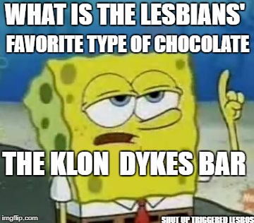 I'll Have You Know Spongebob | WHAT IS THE LESBIANS'; FAVORITE TYPE OF CHOCOLATE; THE KLON  DYKES BAR; SHUT UP TRIGGERED LESBOS | image tagged in ill have you know spongebob,klondike bar,racist,jokes,triggered feminist,lesbian | made w/ Imgflip meme maker