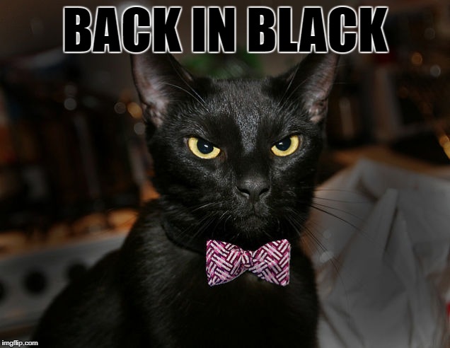 BACK IN BLACK | made w/ Imgflip meme maker