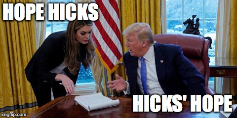 HOPE HICKS; HICKS' HOPE | image tagged in hicks' hope | made w/ Imgflip meme maker