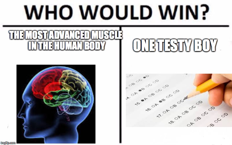 Who Would Win? Meme | THE MOST ADVANCED MUSCLE IN THE HUMAN BODY; ONE TESTY BOY | image tagged in memes,who would win | made w/ Imgflip meme maker