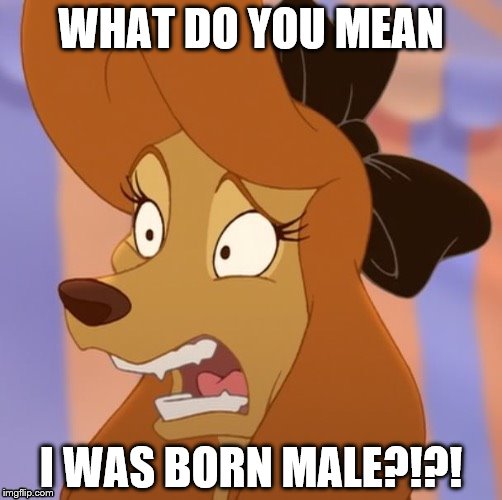 Mind Blown Dixie | WHAT DO YOU MEAN; I WAS BORN MALE?!?! | image tagged in mind blown dixie | made w/ Imgflip meme maker