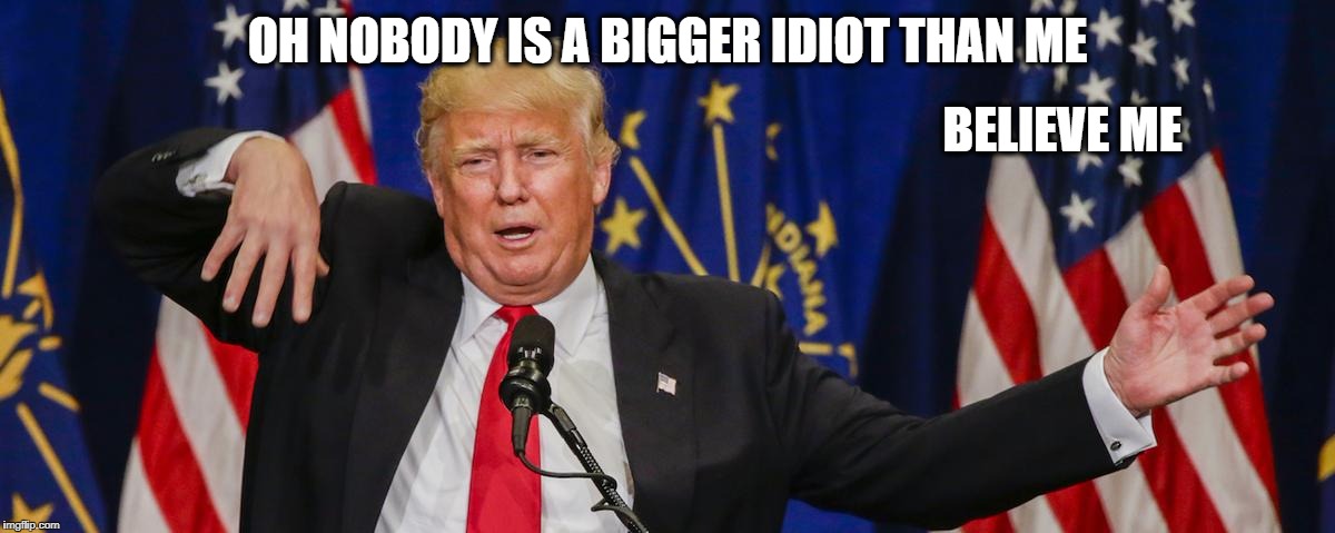 Trump limp | OH NOBODY IS A BIGGER IDIOT THAN ME BELIEVE ME | image tagged in trump limp | made w/ Imgflip meme maker