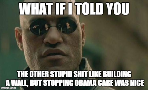 Matrix Morpheus Meme | WHAT IF I TOLD YOU THE OTHER STUPID SHIT LIKE BUILDING A WALL, BUT STOPPING OBAMA CARE WAS NICE | image tagged in memes,matrix morpheus | made w/ Imgflip meme maker