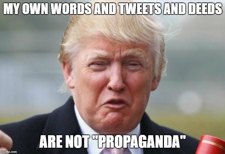 Trump Crybaby | MY OWN WORDS AND TWEETS AND DEEDS ARE NOT "PROPAGANDA" | image tagged in trump crybaby | made w/ Imgflip meme maker