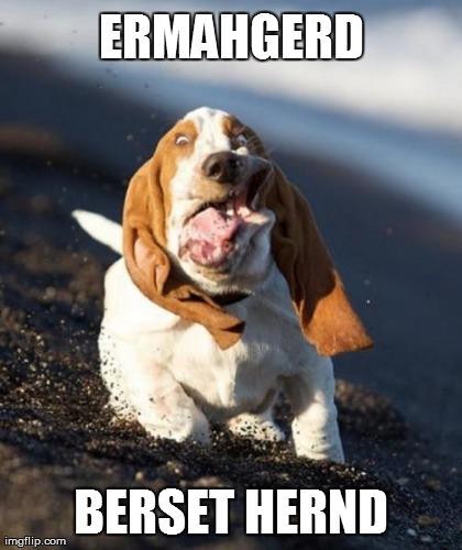 ERMAHGERD BERSET HERND | made w/ Imgflip meme maker