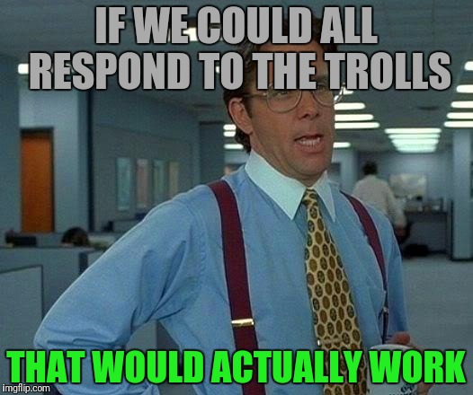 That Would Be Great Meme | IF WE COULD ALL RESPOND TO THE TROLLS THAT WOULD ACTUALLY WORK | image tagged in memes,that would be great | made w/ Imgflip meme maker