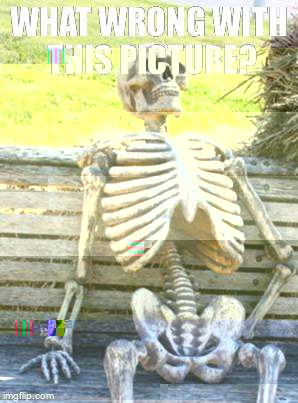 Waiting Skeleton Meme | WHAT WRONG WITH THIS PICTURE? | image tagged in memes,waiting skeleton | made w/ Imgflip meme maker