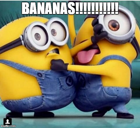 BANANAS!!! | BANANAS!!!!!!!!!!! | image tagged in minions fighting | made w/ Imgflip meme maker
