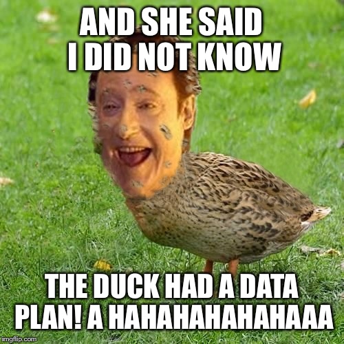 Very funny commander | AND SHE SAID I DID NOT KNOW; THE DUCK HAD A DATA PLAN! A HAHAHAHAHAHAAA | image tagged in cool bullshit da data duckith,ducky man | made w/ Imgflip meme maker