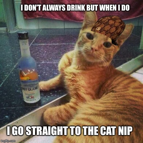 I don't always have vodka | I DON'T ALWAYS DRINK BUT WHEN I DO; I GO STRAIGHT TO THE CAT NIP | image tagged in i don't always have vodka,scumbag | made w/ Imgflip meme maker