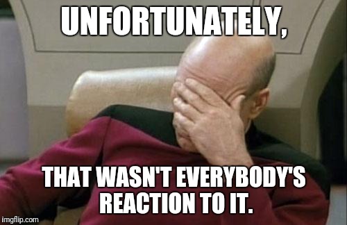 Captain Picard Facepalm Meme | UNFORTUNATELY, THAT WASN'T EVERYBODY'S REACTION TO IT. | image tagged in memes,captain picard facepalm | made w/ Imgflip meme maker