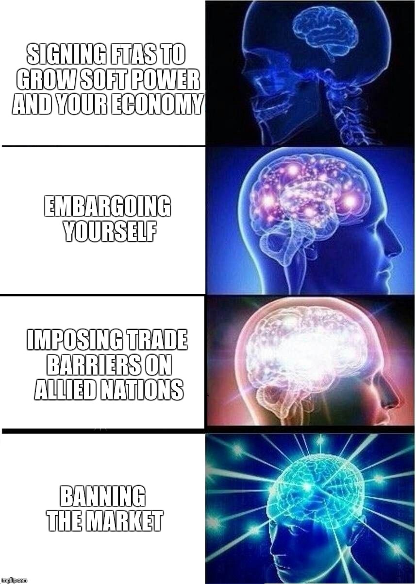 Expanding Brain Meme | SIGNING FTAS TO GROW SOFT POWER AND YOUR ECONOMY; EMBARGOING YOURSELF; IMPOSING TRADE BARRIERS ON ALLIED NATIONS; BANNING THE MARKET | image tagged in memes,expanding brain | made w/ Imgflip meme maker