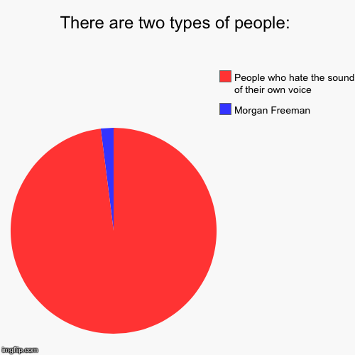 There are two types of people: | Morgan Freeman, People who hate the sound of their own voice | image tagged in funny,pie charts | made w/ Imgflip chart maker