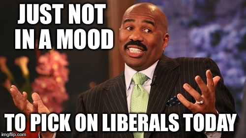 Steve Harvey | JUST NOT IN A MOOD; TO PICK ON LIBERALS TODAY | image tagged in memes,steve harvey | made w/ Imgflip meme maker