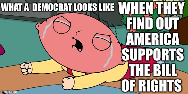 Freedom ! | WHEN THEY FIND OUT AMERICA SUPPORTS THE BILL OF RIGHTS; WHAT A  DEMOCRAT LOOKS LIKE | image tagged in family guy,guns,freedom,memes | made w/ Imgflip meme maker