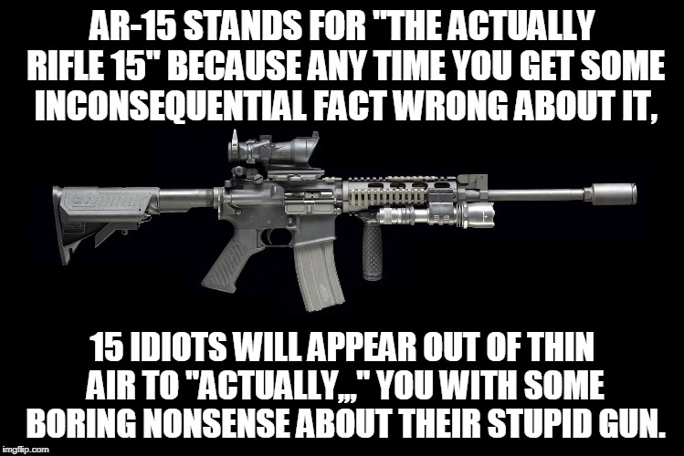 Ar15 | AR-15 STANDS FOR "THE ACTUALLY RIFLE 15" BECAUSE ANY TIME YOU GET SOME INCONSEQUENTIAL FACT WRONG ABOUT IT, 15 IDIOTS WILL APPEAR OUT OF THIN AIR TO "ACTUALLY,,," YOU WITH SOME BORING NONSENSE ABOUT THEIR STUPID GUN. | image tagged in ar15 | made w/ Imgflip meme maker
