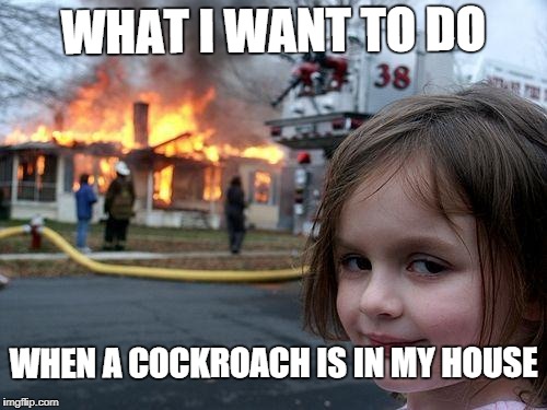 Disaster Girl | WHAT I WANT TO DO; WHEN A COCKROACH IS IN MY HOUSE | image tagged in memes,disaster girl | made w/ Imgflip meme maker