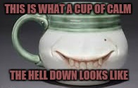 THIS IS WHAT A CUP OF CALM; THE HELL DOWN LOOKS LIKE | image tagged in this is what a cup of | made w/ Imgflip meme maker