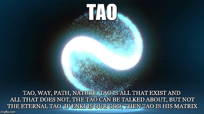 Polarity Reality |  TAO; TAO, WAY, PATH, NATURE, TAO IS ALL THAT EXIST AND ALL THAT DOES NOT, THE TAO CAN BE TALKED ABOUT, BUT NOT THE ETERNAL TAO. IF ENKI IS OUR GOD, THEN TAO IS HIS MATRIX | image tagged in tao,yin and yang,lao tzu,enki,way,left hand path | made w/ Imgflip meme maker