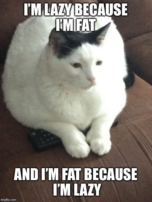 I’M LAZY BECAUSE I’M FAT; AND I’M FAT BECAUSE I’M LAZY | image tagged in manly | made w/ Imgflip meme maker