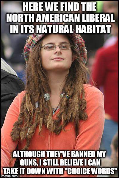 College Liberal Meme | HERE WE FIND THE NORTH AMERICAN LIBERAL IN ITS NATURAL HABITAT; ALTHOUGH THEY'VE BANNED MY GUNS, I STILL BELIEVE I CAN TAKE IT DOWN WITH "CHOICE WORDS" | image tagged in memes,college liberal | made w/ Imgflip meme maker
