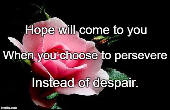 Rose | Hope will come to you; When you choose to persevere; Instead of despair. | image tagged in rose | made w/ Imgflip meme maker