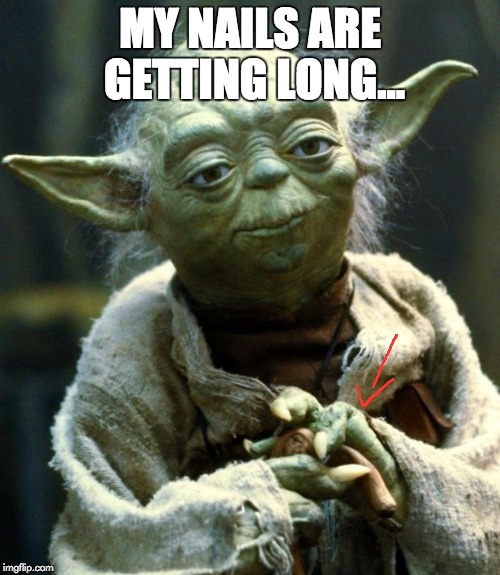 Star Wars Yoda Meme | MY NAILS ARE GETTING LONG... | image tagged in memes,star wars yoda | made w/ Imgflip meme maker