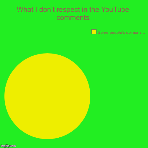 What I don’t respect in the YouTube comments | Some people’s opinions... | image tagged in funny,pie charts | made w/ Imgflip chart maker