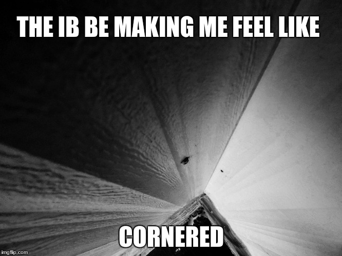 In the IB | THE IB BE MAKING ME FEEL LIKE; CORNERED | image tagged in ib,in the ib,the ib,black and white | made w/ Imgflip meme maker