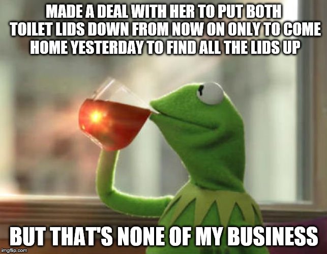 But That's None Of My Business (Neutral) | MADE A DEAL WITH HER TO PUT BOTH TOILET LIDS DOWN FROM NOW ON ONLY TO COME HOME YESTERDAY TO FIND ALL THE LIDS UP; BUT THAT'S NONE OF MY BUSINESS | image tagged in memes,but thats none of my business neutral | made w/ Imgflip meme maker