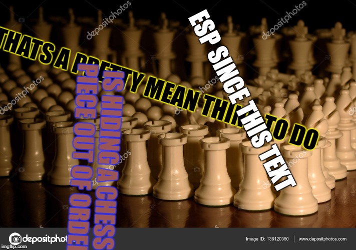 Stop the Queen | THATS A PRETTY MEAN THING TO DO ESP SINCE THIS TEXT IS HIDING A CHESS PIECE OUT OF ORDER | image tagged in stop the queen | made w/ Imgflip meme maker