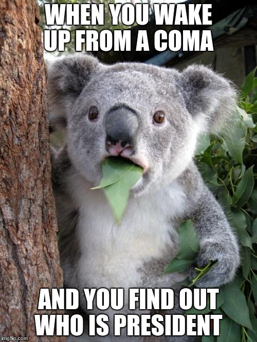 Surprised Koala Meme | WHEN YOU WAKE UP FROM A COMA; AND YOU FIND OUT WHO IS PRESIDENT | image tagged in memes,surprised koala | made w/ Imgflip meme maker