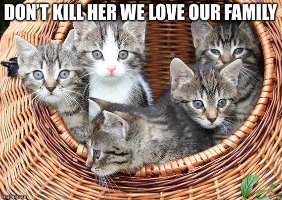 DON’T KILL HER WE LOVE OUR FAMILY | made w/ Imgflip meme maker